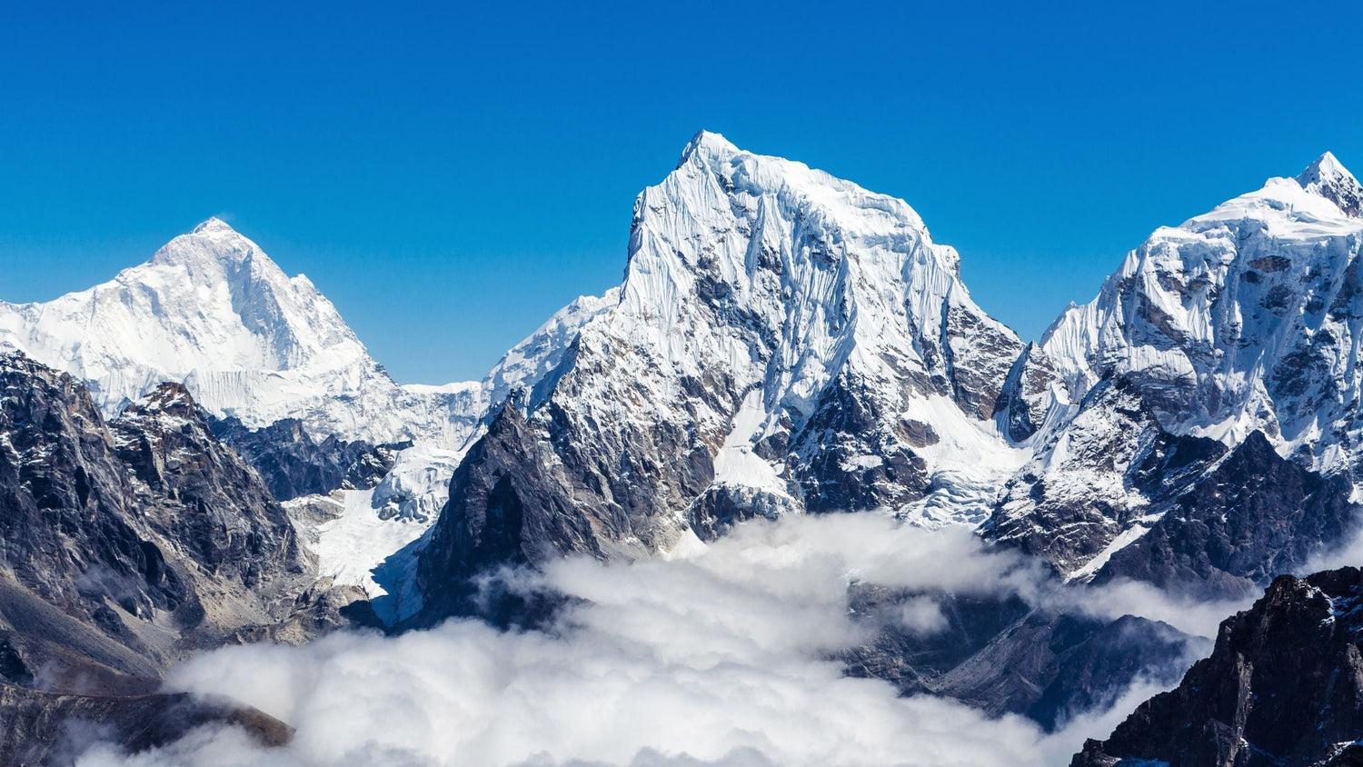 Shilajit : bienfaits, composition, mécanismes d’action et conseils pour bien le choisir