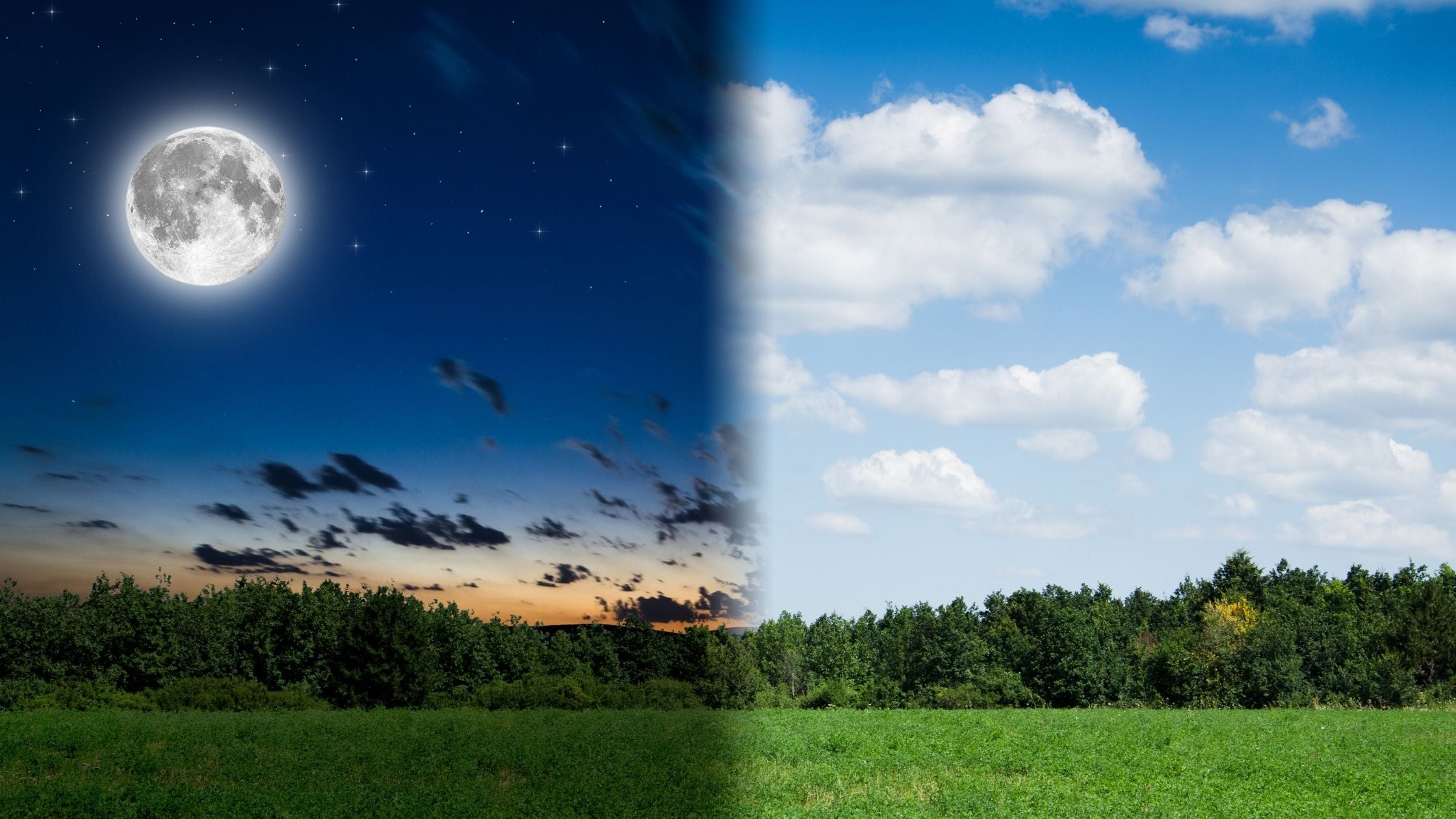 A quel moment prendre le shilajit, matin ou soir ?