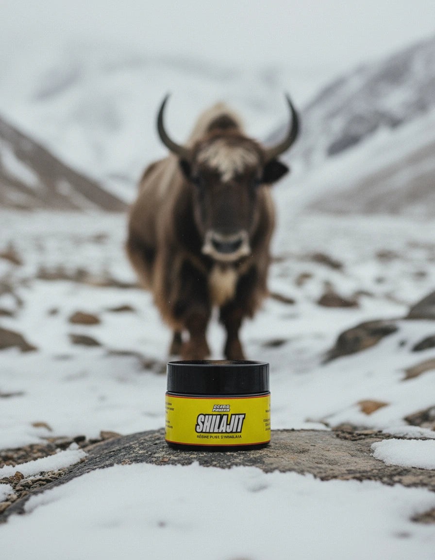 Résine de Shilajit de 30g